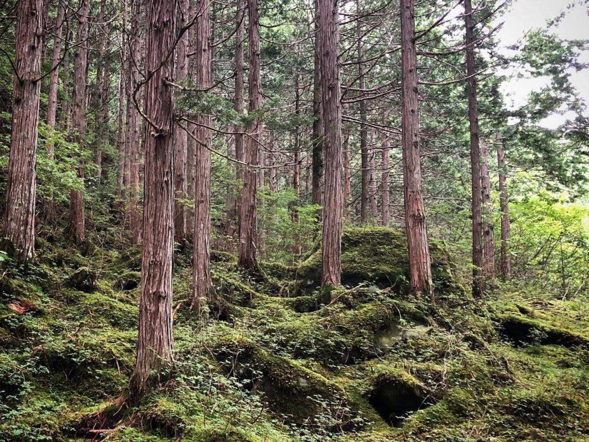 明治温泉旅館 茅野市 エクステリア 写真