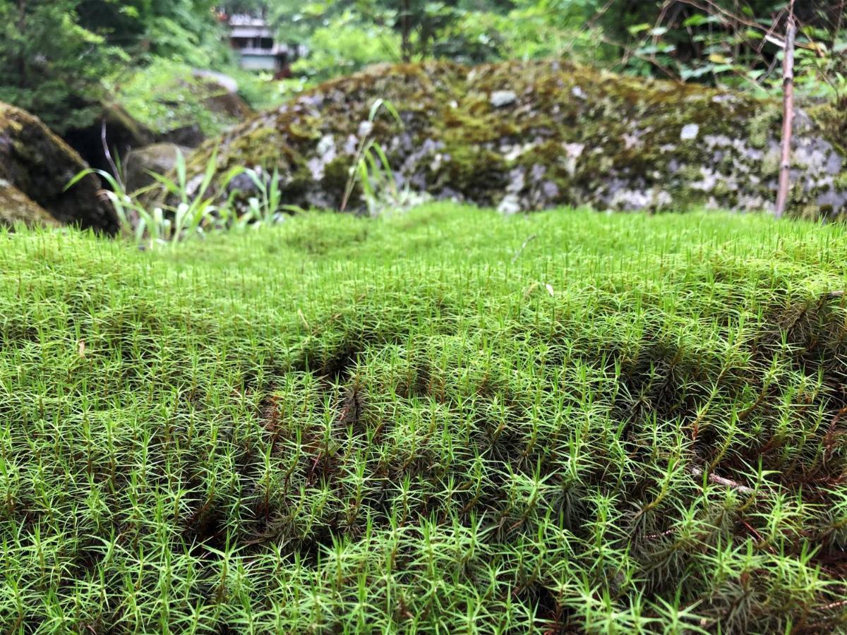 明治温泉旅館 茅野市 エクステリア 写真